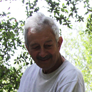 Enrico Papini