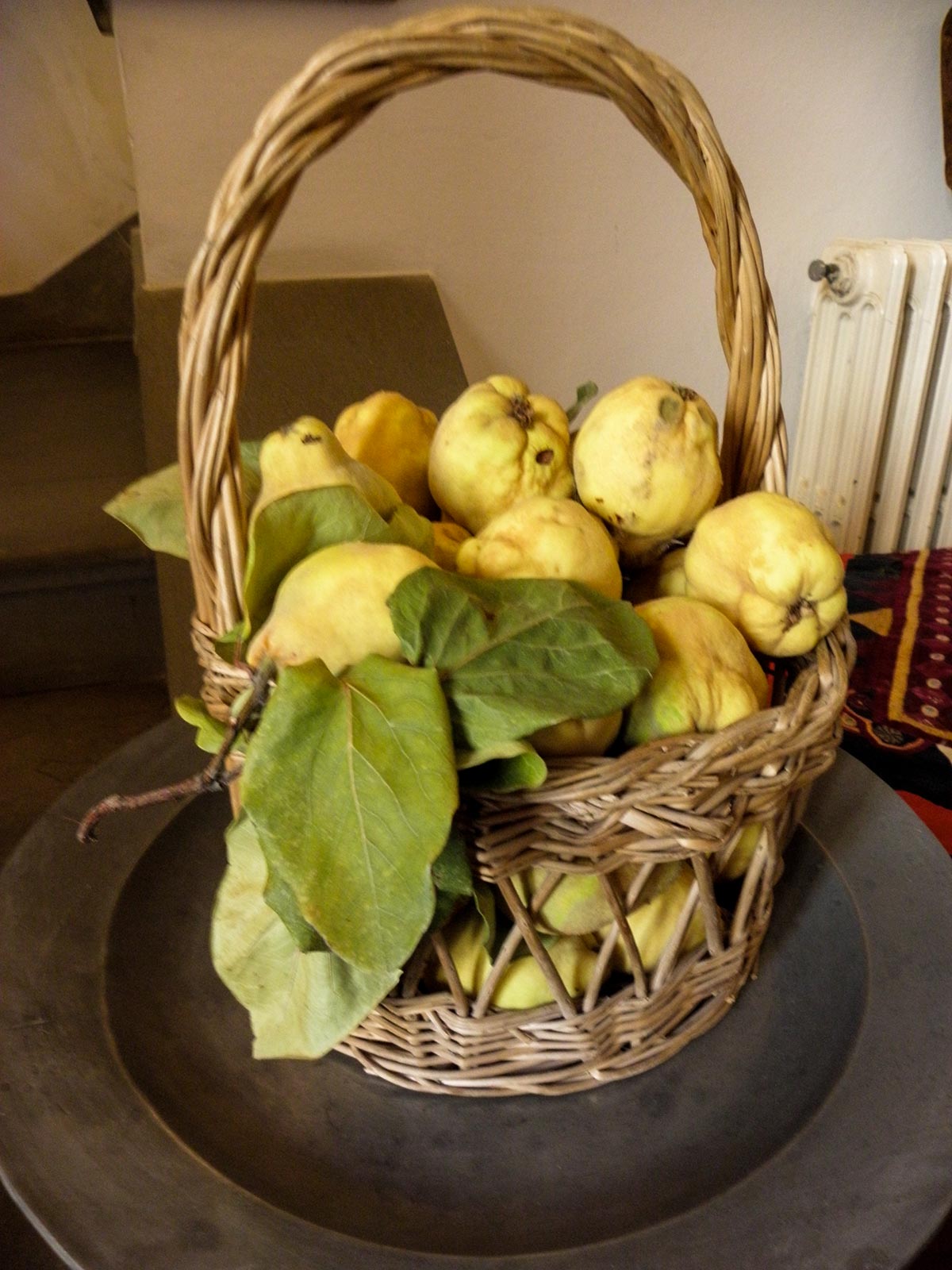 SPL_I_Terra_Tavola_Famiglia_06